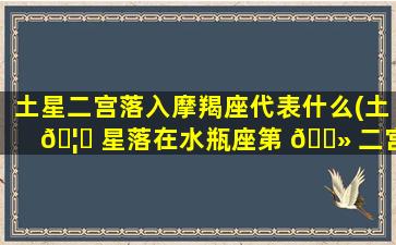 土星二宫落入摩羯座代表什么(土 🦄 星落在水瓶座第 🌻 二宫)